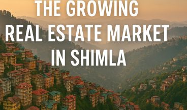 WhatsApp Image 2025-10-10 at 5.48.34 PM