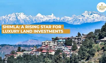 shimla investment